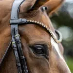 Detail kopstuk LeMieux Hoofdstel Kudos Patent Dressage