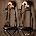 Sfeerfoto Hoofdstel Kudos Patent Dressage LeMieux bruin