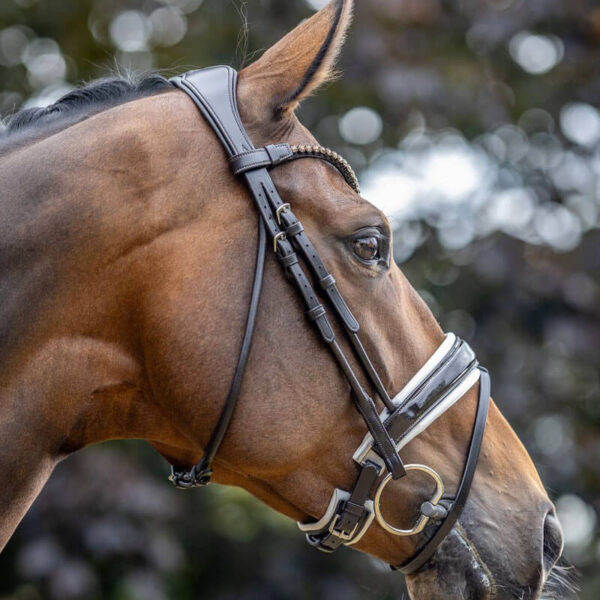 Detail bakstukken LeMieux Kudos hoofdstel Patent Dressage Bruin/Wit