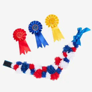 LeMieux Toy Pony Rosette Pack