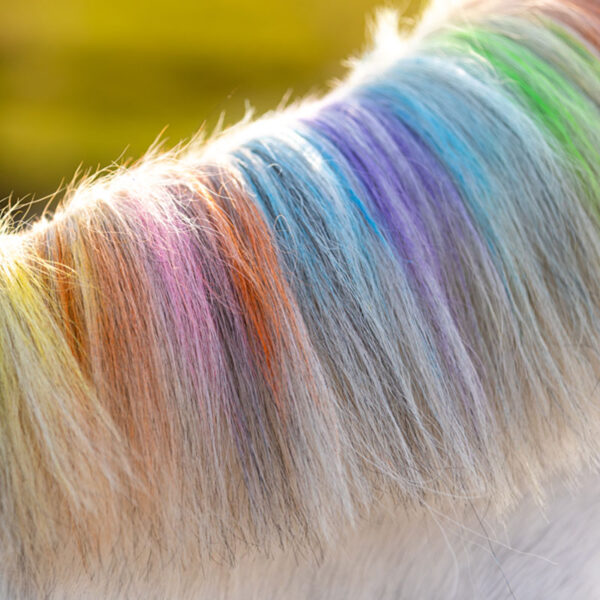 Voorbeeld manen Paardenpraat Regenboog Kleurkrijt