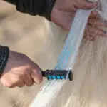 Paardenpraat Regenboog Kleurkrijt voorbeeld gebruik