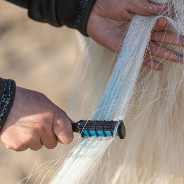 Paardenpraat Regenboog Kleurkrijt voorbeeld gebruik