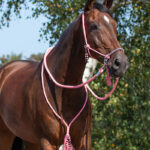 Lifestyle foto QHP set Liberty flamingo pink