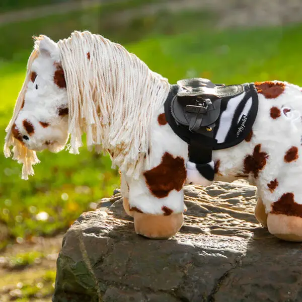 Crafty Ponies lifesryle foto dekje met singelshoes Zebra