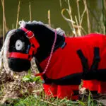 Sfeerfoto Crafty Ponies Fleecedeken Set Rood
