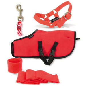 Crafty Ponies Fleecedeken Set Rood