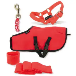Crafty Ponies Fleecedeken Set Rood