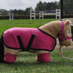 Sfeerfoto Crafty Ponies Fleecedeken Set Roze