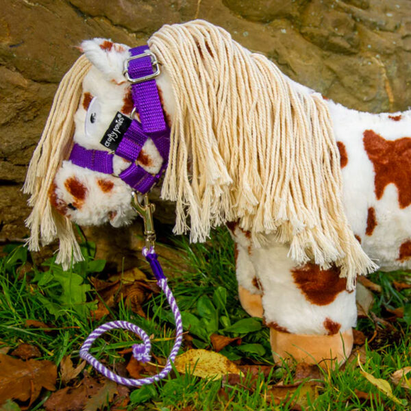 Lifestyle foto Crafty Ponies halster paars