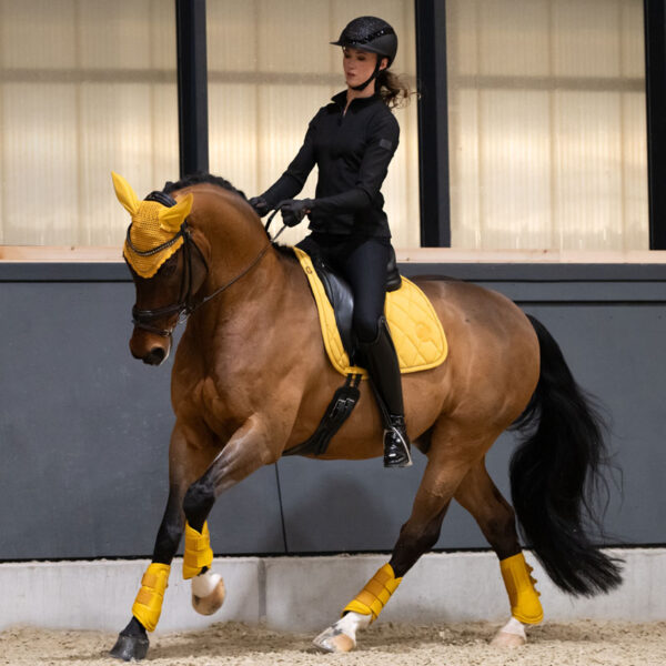 Lifestyle foto Eskadron oornetje Pearls Platinum Golden Yellow