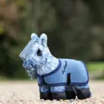 Lifestyle foto LeMieux Tiny Pony Sam