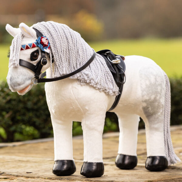 Lifestyle foto Coco LeMieux Toy Pony