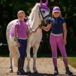 Sfeerfoto rijlegging Gwenn QHP Junior navy