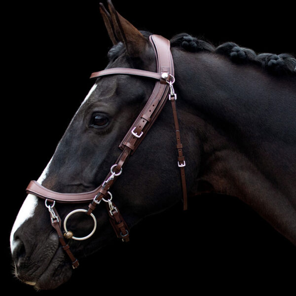 Bruin PresTeq hoofdstel FaySport