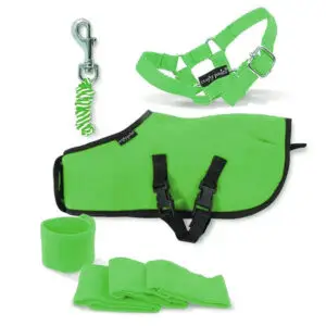 Crafty Ponies Fleecedeken Set Groen
