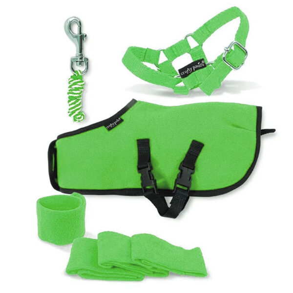 Crafty Ponies Fleecedeken Set Groen