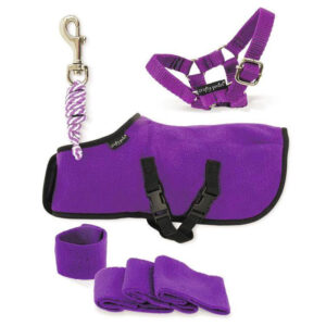 Crafty Ponies Fleecedeken Set Paars