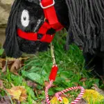 Lifestyle Crafty Ponies halstertouw rood
