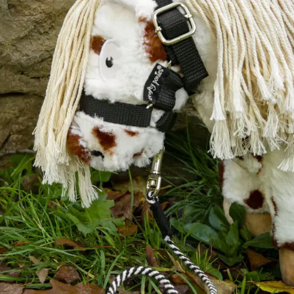 Lifestyle foto halstertouw Crafty Ponies zwart