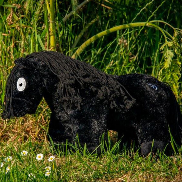 Lifestyle foto zwarte Crafty Pony met zwarte manen