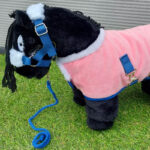 Lifestyle foto Crafty Ponies luxe dekenset Roze