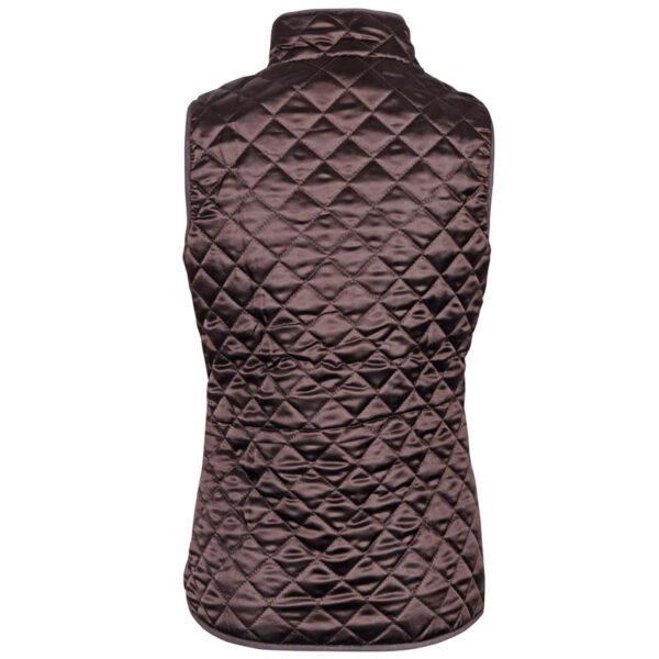 Achterzijde Bodywarmer Harry's Horse Alnif Java