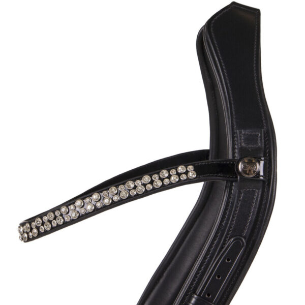 Detail frontriem PresTeq FaySport hoofdstel Shine zwart