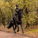 Sfeerfoto Softshell Jas BR Britt Morel