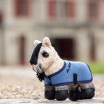 Lifestyle foto LeMieux Tiny Pony Dream