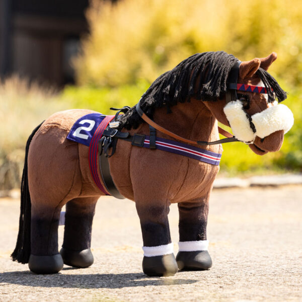 Lifestyle foto LeMieux Toy Pony Chancer