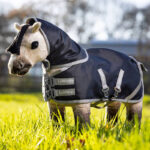 LeMieux lifestyle afbeelding Toy Pony Storm-Tek Rug navy