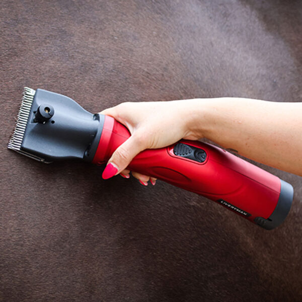 Lifestyle foto Liveryman clipper Phoenix