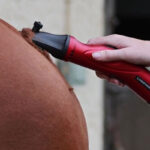 Clipper Liveryman Phoenix lifestyle afbeelding