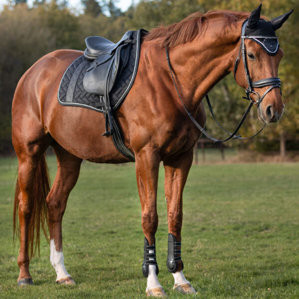 Lifestyle foto QHP dekje Kae zwart