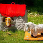 Rijbak en stoffen stal Crafty Ponies