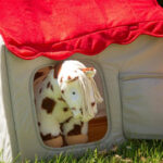 Lifestyle foto stoffen Crafty Ponies paardenstal