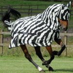 Bucas Buzz-Off Full Neck Zebra