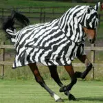 Bucas Buzz-Off Full Neck Zebra