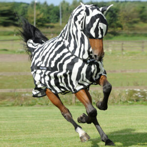 Vliegendeken Bucas Zebra print met hals