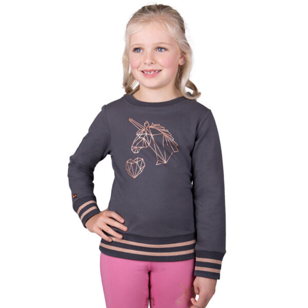 Voorzijde QHP sweater Didy Junior