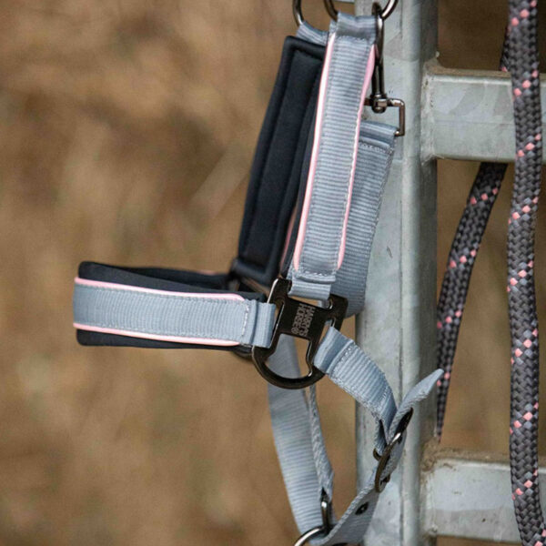 Close up piping Harry's Horse Halsterset Just Ride Urban