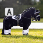Lifestyle afbeelding LeMieux Toy Pony hoofdstel zwart
