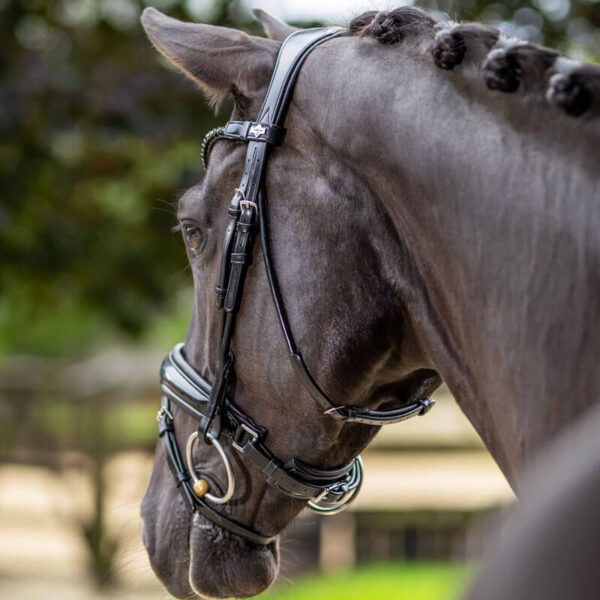 Detail neusriem LeMieux Hoofdstel Kudos Patent Dressage