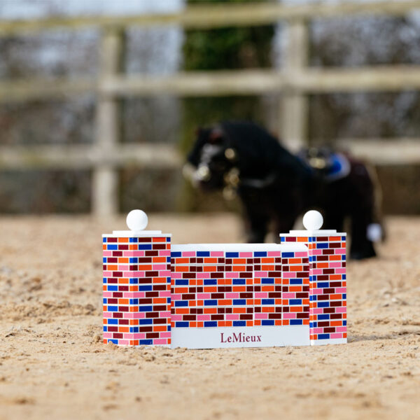 LeMieux Toy Pony Spring Muur compleet lifestyle foto