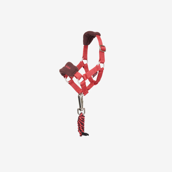 LeMieux Toy Pony halsterset Vogue Cranberry