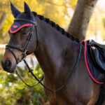 LeMieux Loire oornetje Navy/Cranberry lifestyle afbeelding