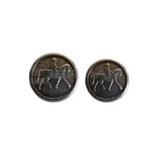 Pikeur knopen zilver groot en klein