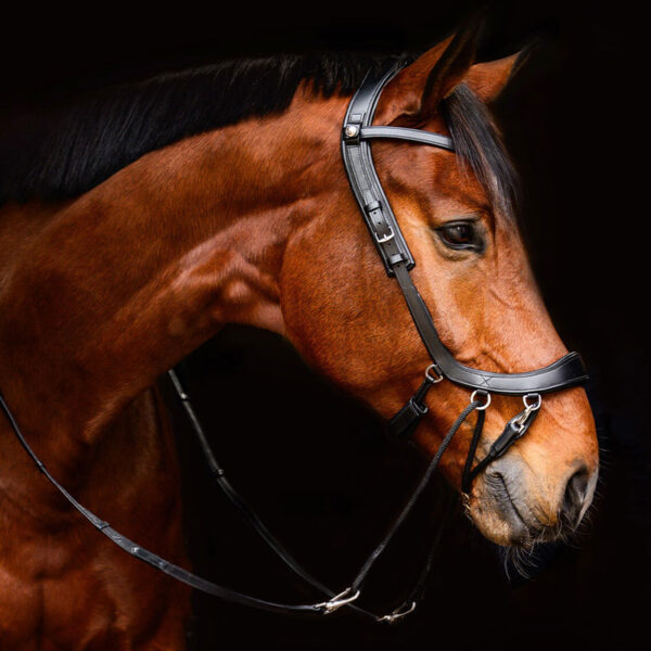 Lifestyle foto PresTeq Bitloos Hoofdstel FaySport zwart