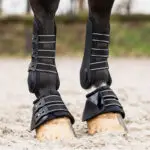 Lifestyle foto QHP Springschoenen Champion